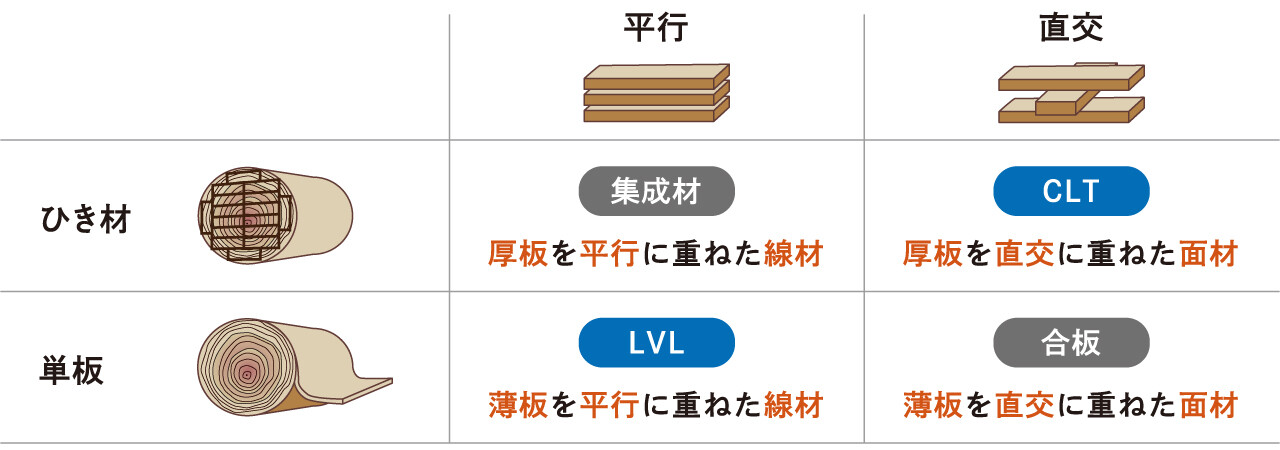 集成材：ひき材の厚板を平行に重ねた線材、CLT：ひき材の厚板を直行に重ねた面材、LVL:単板の薄板を平行に重ねた線材、合板：単板の薄板を直行に重ねた面材