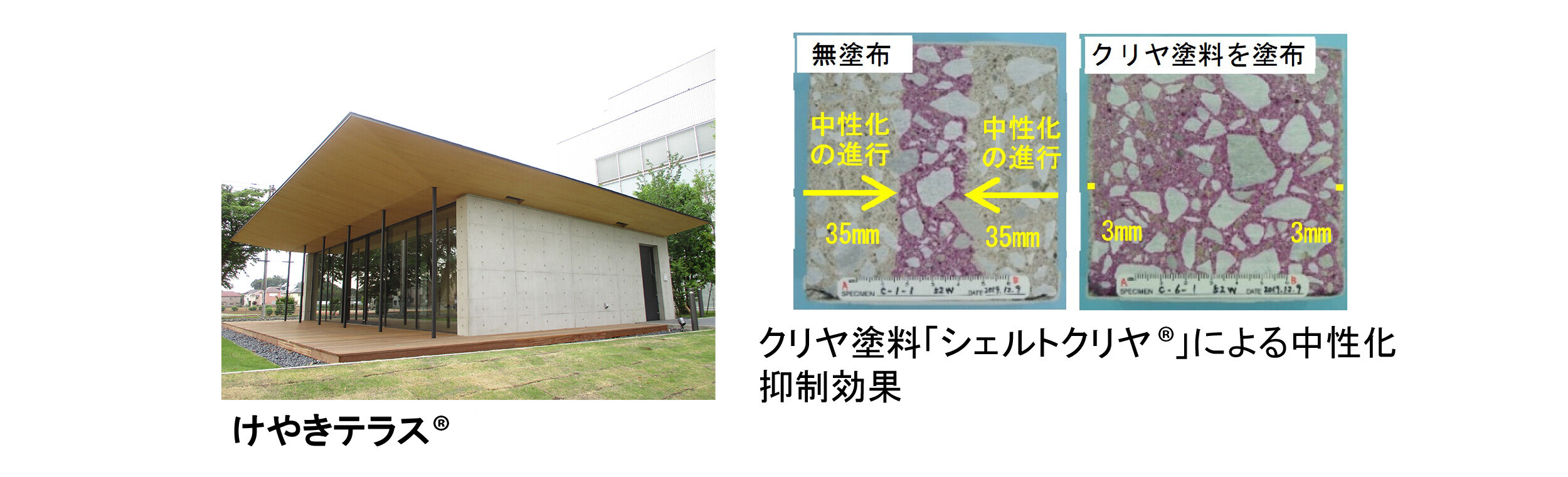 「シェルトクリヤ&reg;」を塗った「クリーンクリート&reg;」を採用した大林組の技術研究所のプレゼンテーション施設「けやきテラス&reg;」の写真