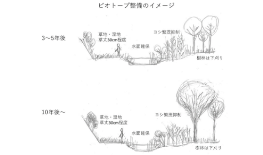 関連技術画像