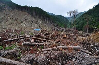 土砂崩れによる倒木・流木(堆肥または緑化用土として利用)