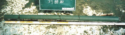 採取した改良体のコア(深度方向に均質な改良体コアを採取)