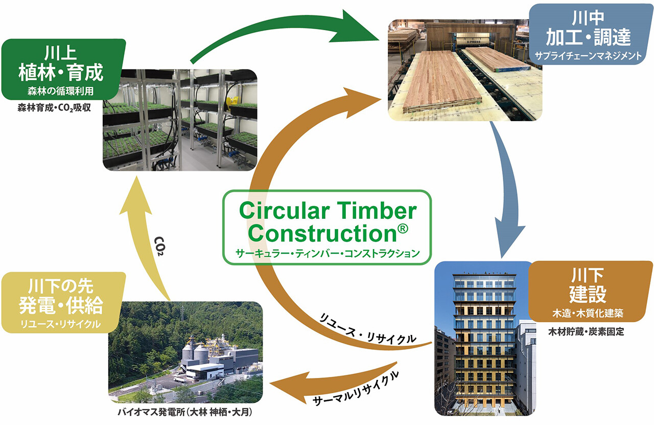 「Circular Timber Construction(サーキュラー・ティンバー・コンストラクション)」