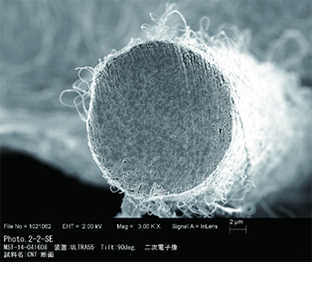 カーボンナノチューブ電子顕微鏡写真
