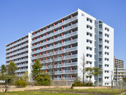 仙台市幸町市営住宅3-1棟