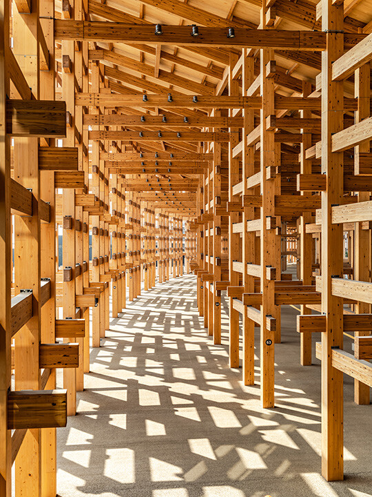 提供：２０２５年日本国際博覧会協会　撮影：株式会社伸和